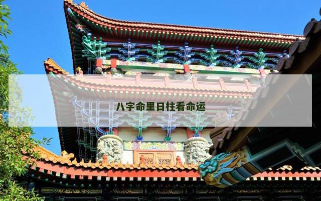 八字命里日柱看命运
