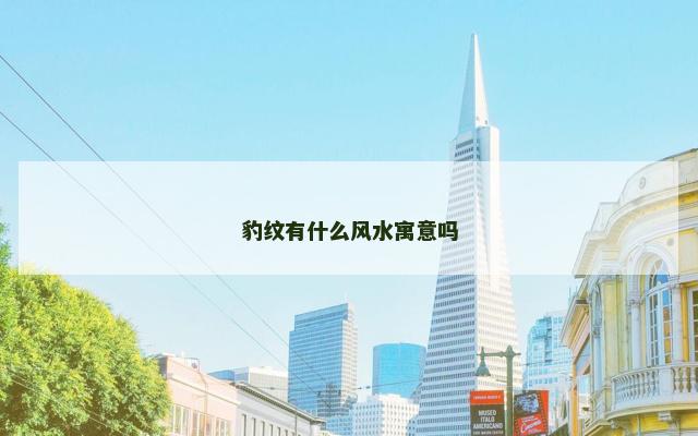 豹纹有什么风水寓意吗