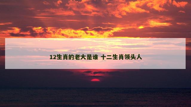 12生肖的老大是谁 十二生肖领头人