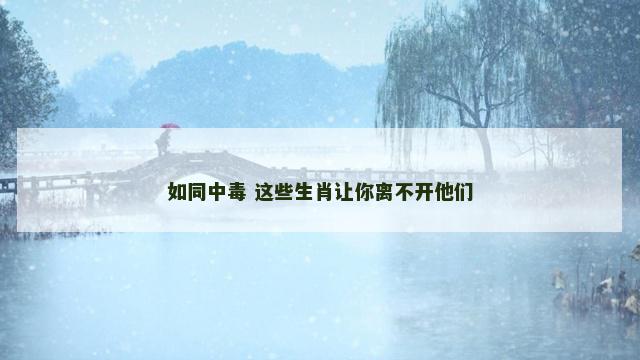 如同中毒 这些生肖让你离不开他们