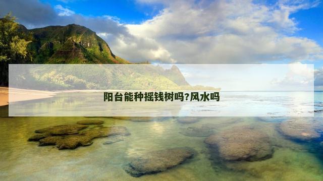 阳台能种摇钱树吗?风水吗