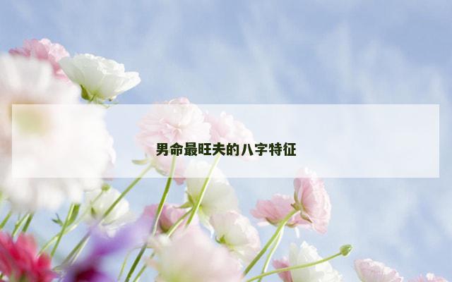 男命最旺夫的八字特征