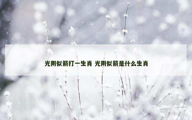 光阴似箭打一生肖 光阴似箭是什么生肖