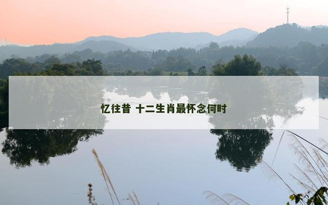 忆往昔 十二生肖最怀念何时