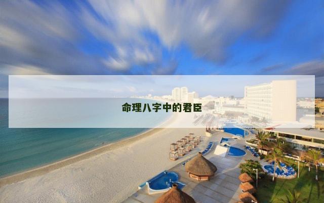 命理八字中的君臣