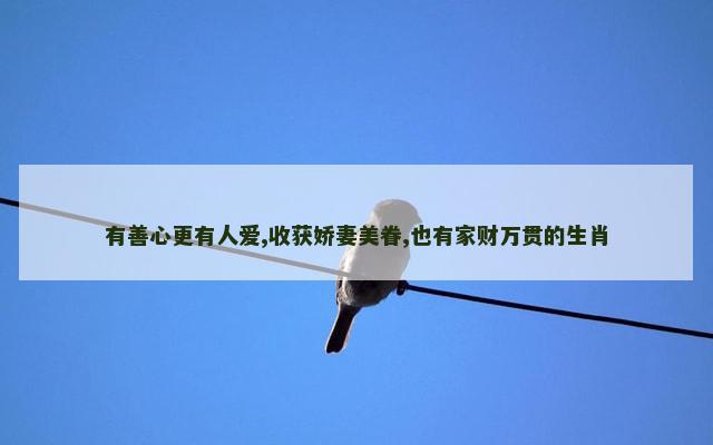 有善心更有人爱,收获娇妻美眷,也有家财万贯的生肖