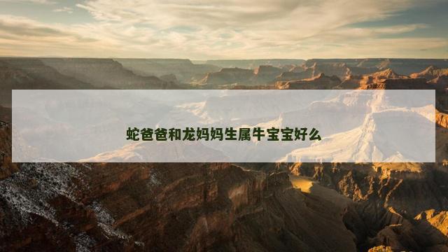 蛇爸爸和龙妈妈生属牛宝宝好么