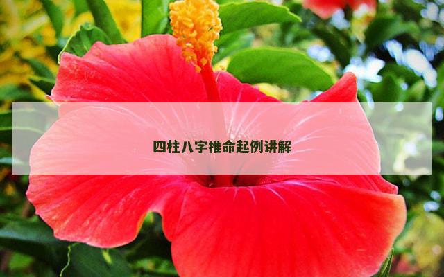 四柱八字推命起例讲解