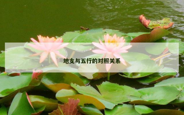 地支与五行的对照关系