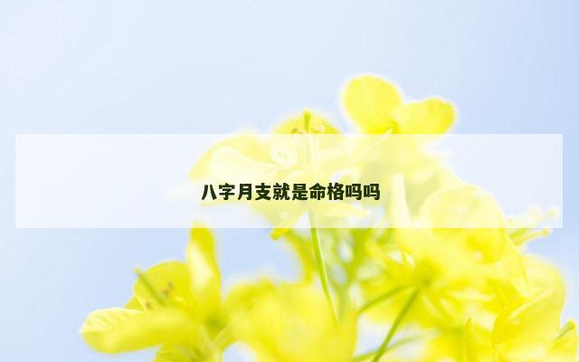 八字月支就是命格吗吗