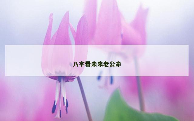 八字看未来老公命