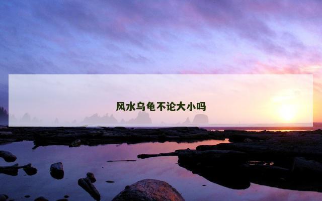 风水乌龟不论大小吗