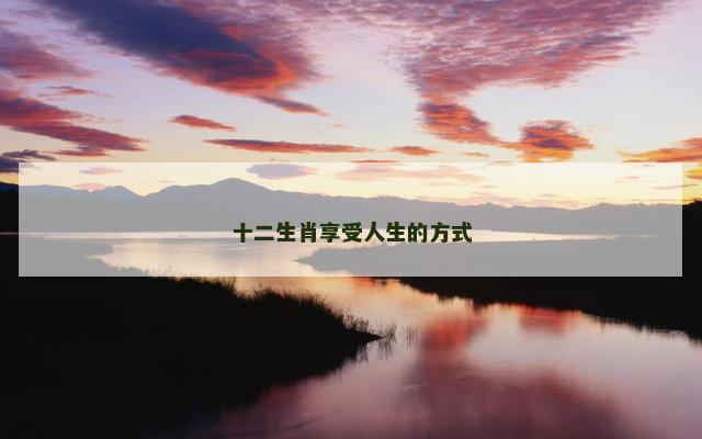 十二生肖享受人生的方式