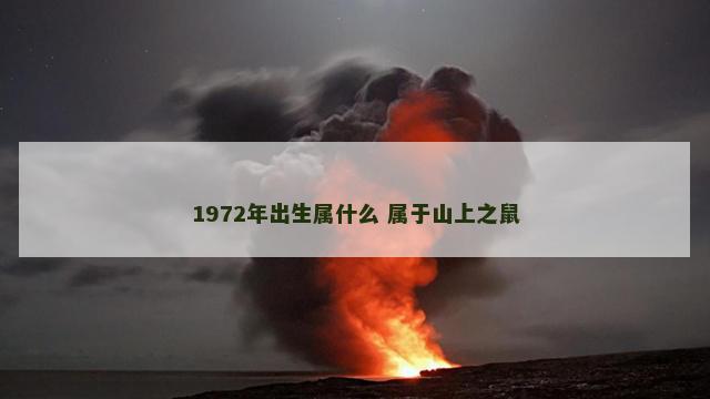 1972年出生属什么 属于山上之鼠