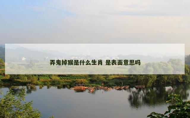 弄鬼掉猴是什么生肖 是表面意思吗