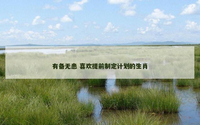 有备无患 喜欢提前制定计划的生肖