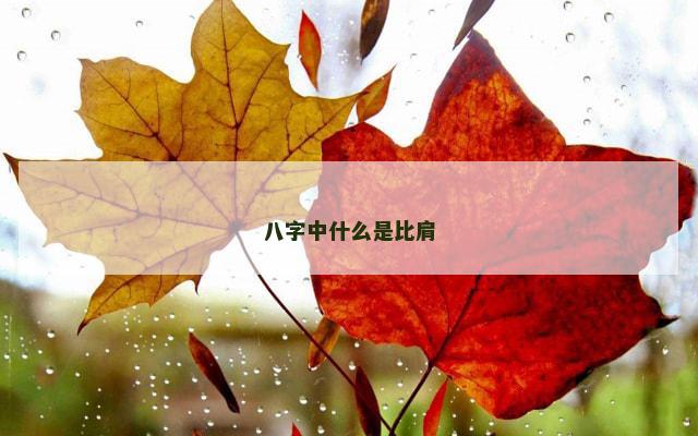 八字中什么是比肩