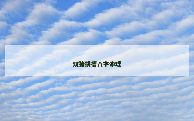 双猪拱槽八字命理