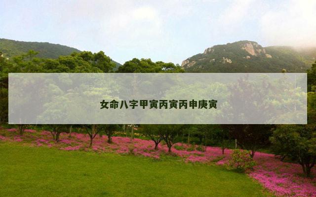 女命八字甲寅丙寅丙申庚寅