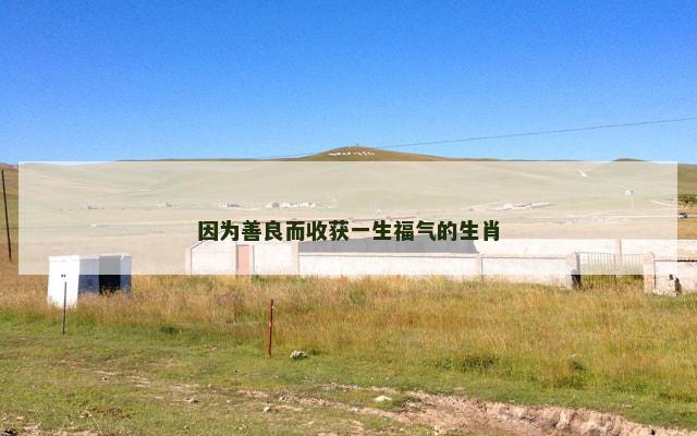 因为善良而收获一生福气的生肖