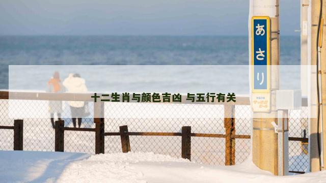 十二生肖与颜色吉凶 与五行有关