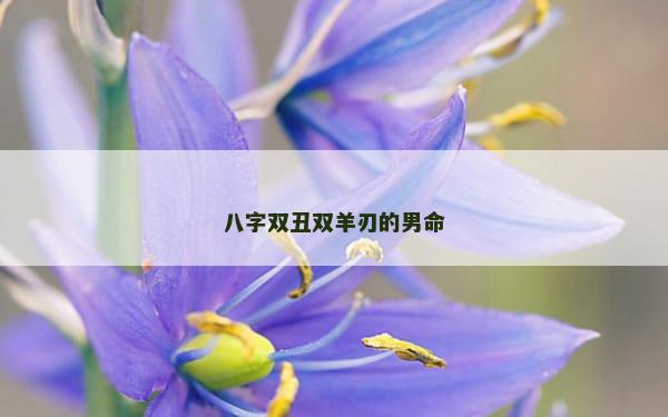 八字双丑双羊刃的男命