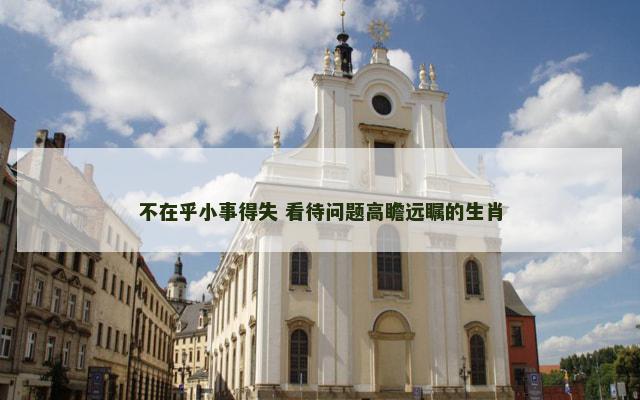 不在乎小事得失 看待问题高瞻远瞩的生肖