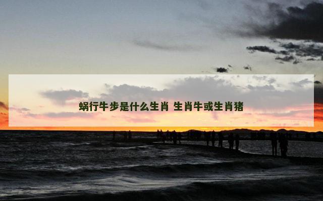 蜗行牛步是什么生肖 生肖牛或生肖猪