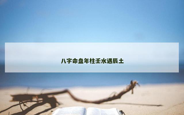 八字命盘年柱壬水遇辰土