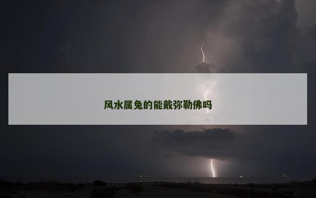 风水属兔的能戴弥勒佛吗