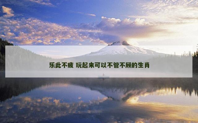 乐此不疲 玩起来可以不管不顾的生肖