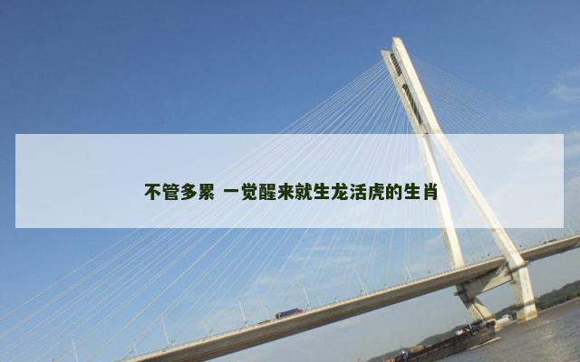 不管多累 一觉醒来就生龙活虎的生肖