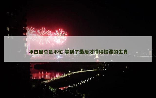 平日里总是不忙 等到了最后才懂得慌张的生肖
