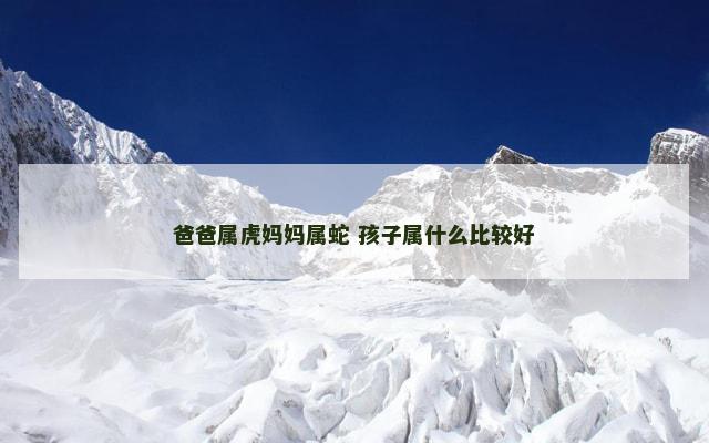 爸爸属虎妈妈属蛇 孩子属什么比较好