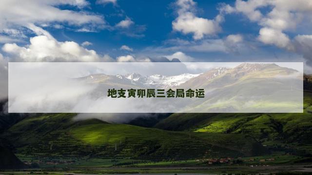 地支寅卯辰三会局命运