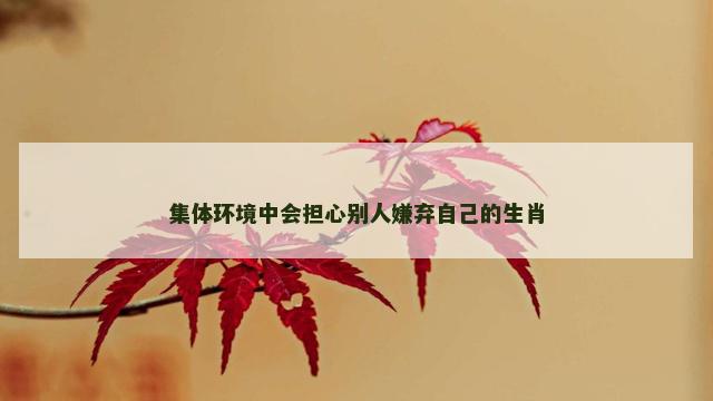 集体环境中会担心别人嫌弃自己的生肖