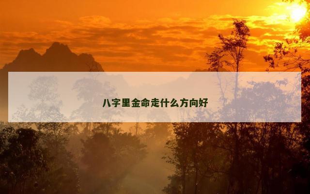 八字里金命走什么方向好