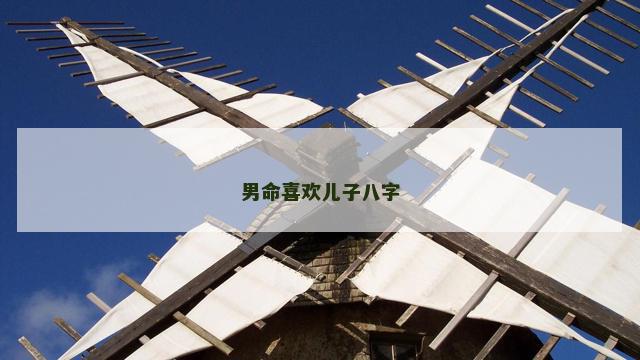男命喜欢儿子八字