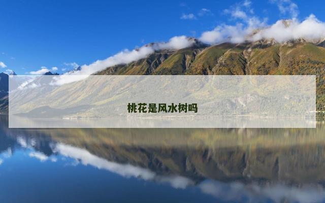 桃花是风水树吗