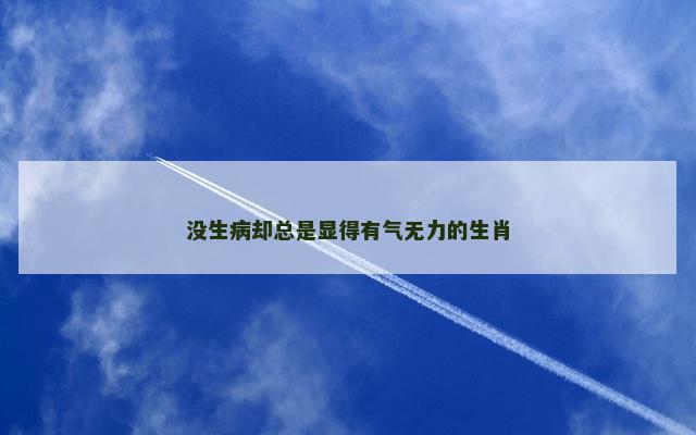 没生病却总是显得有气无力的生肖
