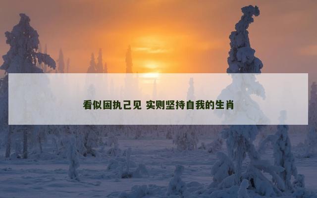 看似固执己见 实则坚持自我的生肖