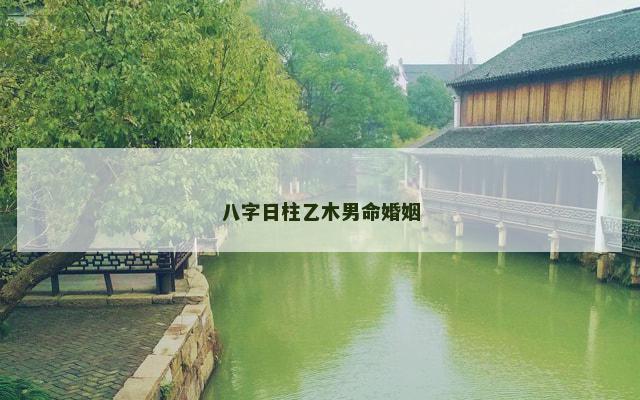 八字日柱乙木男命婚姻