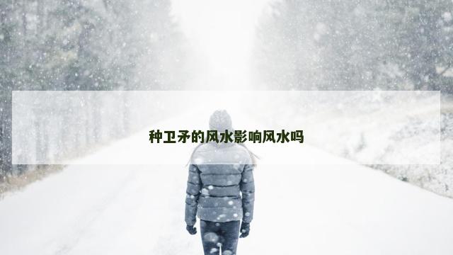 种卫矛的风水影响风水吗