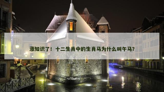 涨知识了！十二生肖中的生肖马为什么叫午马？