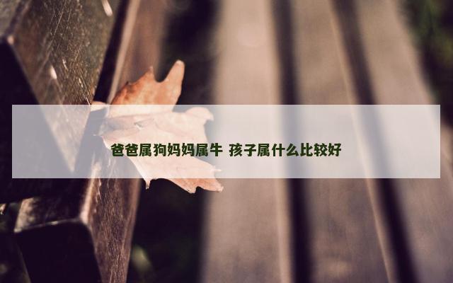 爸爸属狗妈妈属牛 孩子属什么比较好