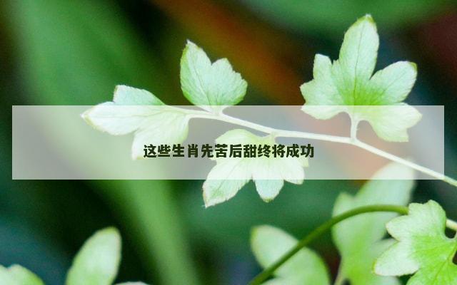 这些生肖先苦后甜终将成功