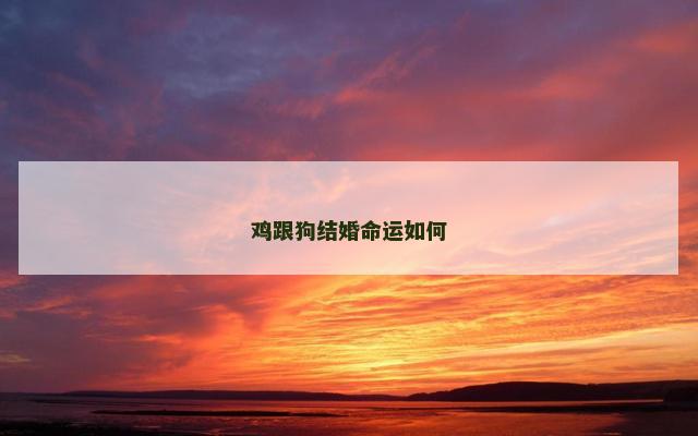 鸡跟狗结婚命运如何