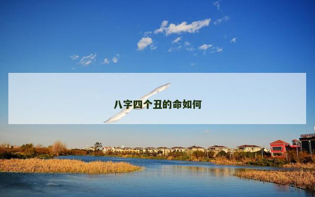 八字四个丑的命如何