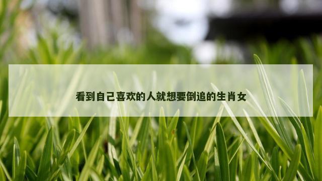 看到自己喜欢的人就想要倒追的生肖女