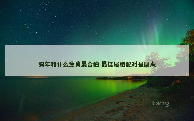 狗年和什么生肖最合拍 最佳属相配对是属虎